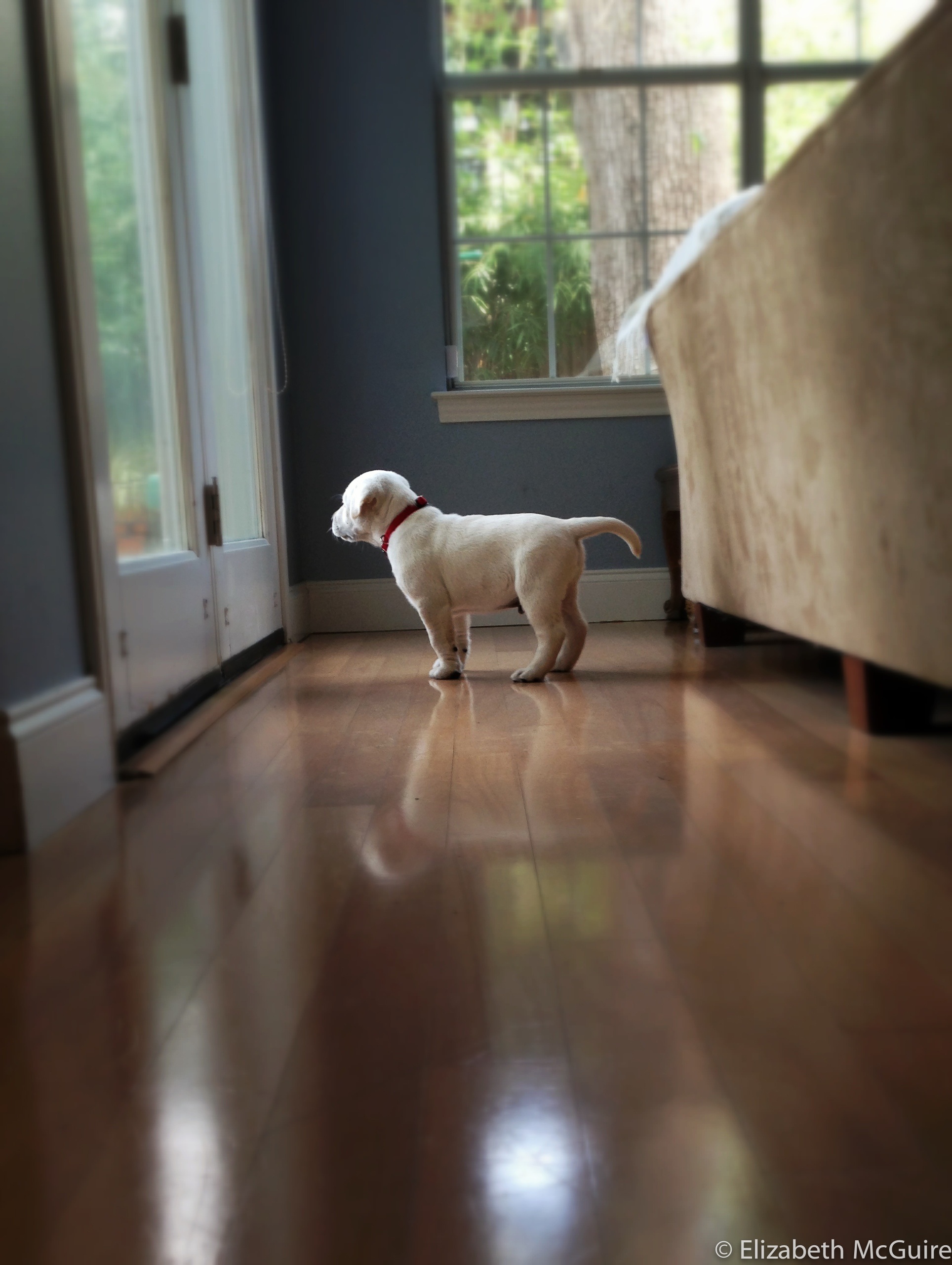 2013.04.01.Leo-3