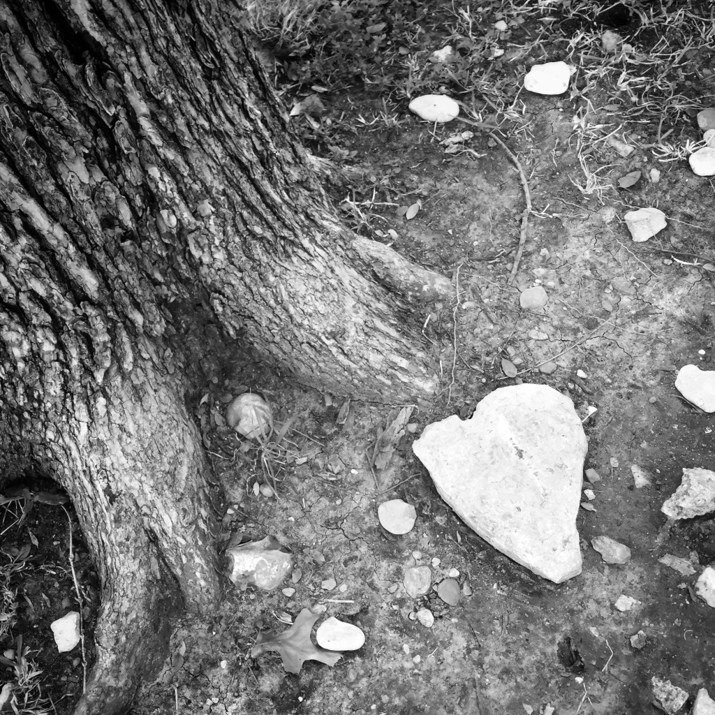 2014.heartrock