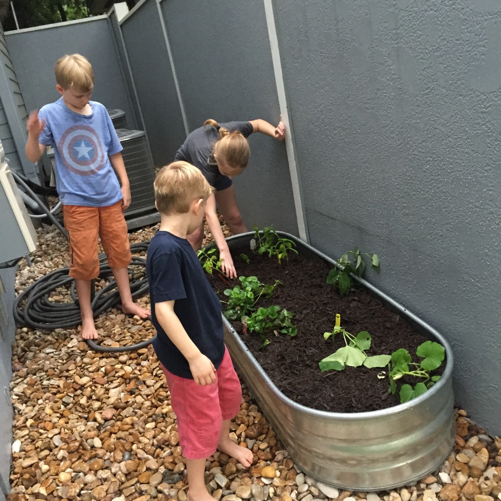 2015.garden