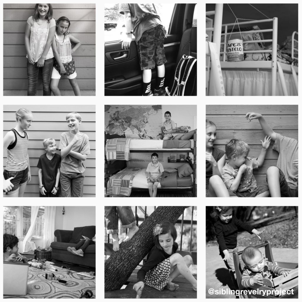 2016-siblingrevelryproject